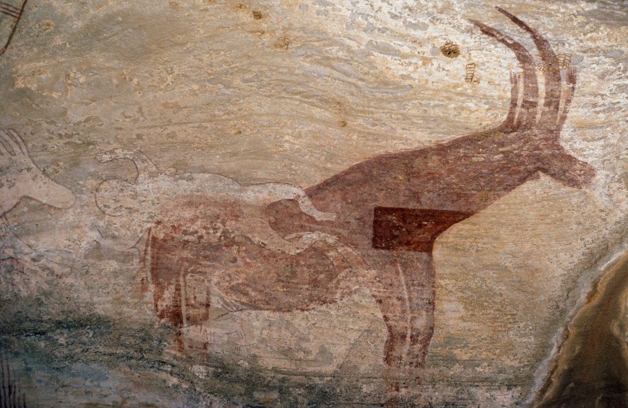 蹄のある動物、洞窟画、セファール、タッシリ・ナジェール（ユネスコ世界遺産登録 作： またはマグノチェーザレマグニ
