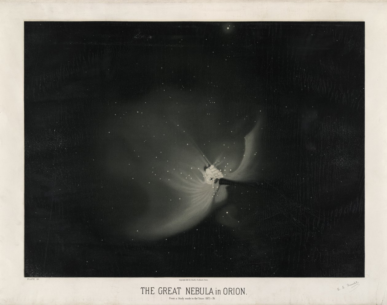 オリオンの大星雲。 1875年から76年に行われた研究から。 （The Trouvelot Astronomical Drawings 1881-1882のプレートXV） 作： エティエンヌ・レオポルド・トルヴロ