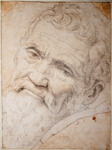 ミケランジェロ・ブオナローティの肖像。 石炭、紙にチョーク、1550 年頃 作： Daniele da  Volterra