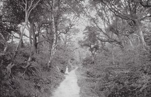 フェアライト・グレン（モノクロ写真） 作： (after) English photographer