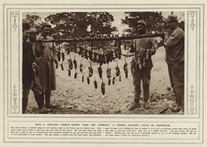 ネズミ、ドイツ人よりも塹壕の心配が大きい！ 展示されているフランス兵の捕獲物 (白黒写真) 作： (after) English photographer