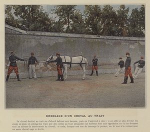 輓馬の馬術（フォトコラージュ