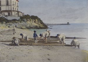 寒天の洗浄（カラー写真 作： (after) French Photographer