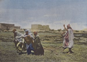 Le Labourage en Kabylie (カラー写真) 作： (after) French Photographer