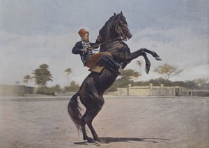 Nos Cavaliers（カラー写真 作： (after) French Photographer