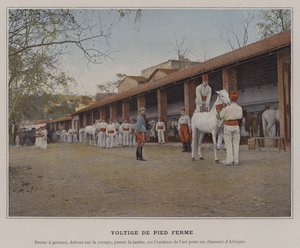 Voltige de Pied Ferme（カラー写真