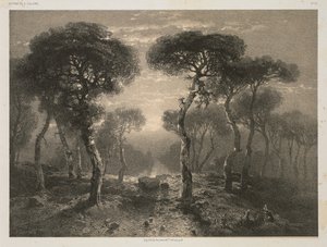 A. カラメの作品、No. 13: ヴァレー州のシエールの森、1843 年発行、1851 年。 作： 12 Jacomme and Cie. R. de