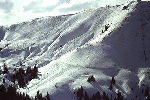 雪の斜面 作： Detlef B. Fischer