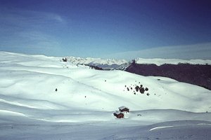 アルプスの雪 作： Detlef B. Fischer
