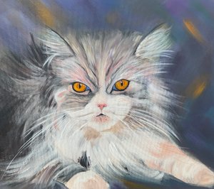 メインクーン・キャット 作： H.Opitz