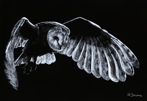 メンフクロウ 作： Richard Young
