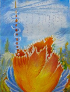 オレンジの花 作： 