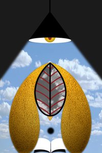 啓蒙主義II（どっちつかず／すべての理論はグレー）