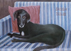 愛犬サッサ