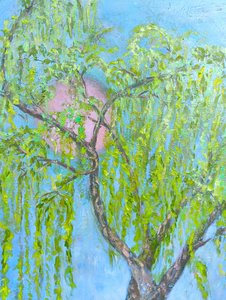 笑わない柳 作： 