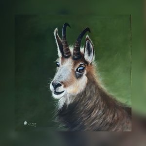 アルプスの守護者