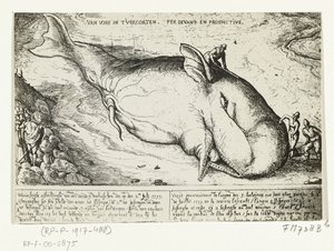 1577 年 7 月 2 日、アントワープ近郊に打ち上げられたクジラの版画