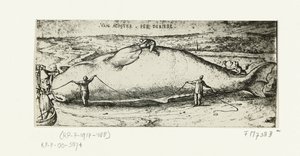 1577 年 7 月 2 日、アントワープ近郊に打ち上げられたクジラの版画 作： A.B. van Deinse