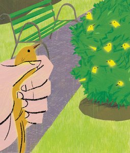 A Bird in the Hand..., 2016年