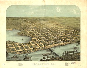 1867年、ミネソタ州ダコタ、ヘイスティングス市の鳥瞰図。LOC 73693453