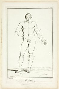 デザイン男性の一般的プロポーション（百科事典より 作： A. J. Defehrt