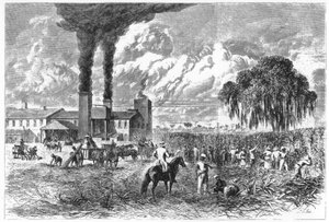 シュガープランテーション、ニューオーリンズ、1870年。 作： A. R. Ward