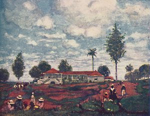 コーヒー・ファゼンダ、1916 作： A. S. Forrest