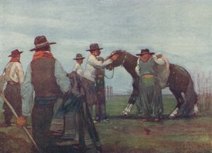 若い馬を壊すガウチョ、1916 作： A. S. Forrest