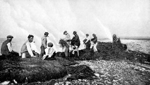 昆布用の海藻の燃焼、アイルランド、アラン諸島、1922年。