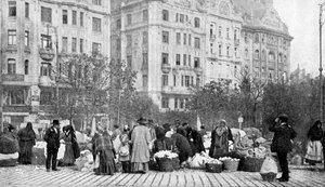 花の素晴らしい市場、ブダペスト、ハンガリー、1922年。 作： A. W. Cutler