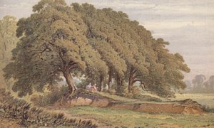 ケント州エルサム近郊、オークの木群の研究（クロモリソ） 作： Aaron Edwin Penley