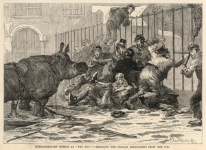 氷SHからメスのサイを救出 作： Abbé Prévost