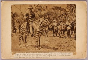 馬と巡洋艦のカモフラージュ、『動物界の色彩を隠す』の学習用フォルダ 作： Abbott Handerson Thayer