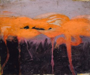 赤いフラミンゴ、『動物界における色彩の隠蔽』のための研究 作： Abbott Handerson Thayer