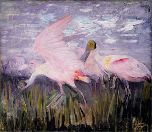 ベニヘラサギ、本「動物の王国で色を隠す」のための研究、カリフォルニア州。 1905～1909年。 作： Abbott Handerson Thayer