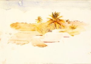 西インド諸島 作： Abbott Handerson Thayer