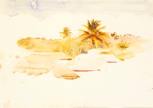 西インド諸島、nd 作： Abbott Handerson Thayer