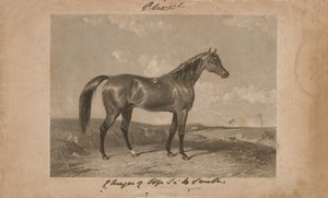 ハリー・スミス卿の財産であるアリワル（リトグラフ 作： Abraham (after) Cooper