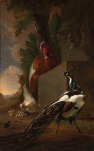 風景の中の古典的な噴水の横にある孔雀、トルコ、鶏と雛 作： Abraham Bisschop