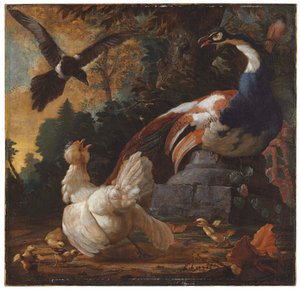 風景の中の孔雀、家禽、カササギ、1720 作： Abraham Bisschop