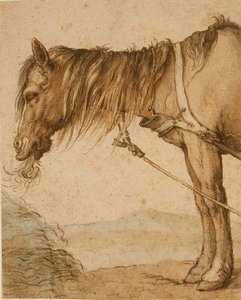 PD.159-1963 「干し草を食べる馬」 1600-10年頃 （ペンとインク、水彩）