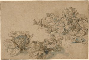 マロウとキャベツに関する研究 作： Abraham Bloemaert
