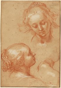 女性の習作3点（レクト）、手の習作4点と跪く青年の対訳（裏面） 作： Abraham Bloemaert