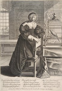 オウム、1620-76。 作： Abraham Bosse