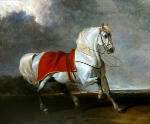 嵐におびえる鞍付きのグレイチャージャー、その名も「ミレニアム 作： Abraham Cooper