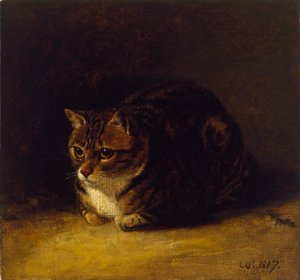 猫の研究、1817