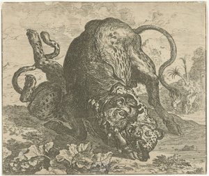 ヒョウと雄牛 いろいろな動物（シリーズタイトル） 作： Abraham Danielsz. Hondius