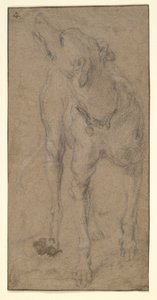 犬の研究 作： Abraham Hondius
