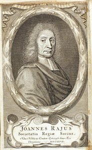 ジョン・レイ、イギリスの博物学者、1680年代 作： Abraham de Blois