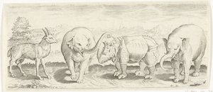 ガゼル、ゾウ、サイ 動物（シリーズタイトル） 作： Abraham de Bruyn (possibly)